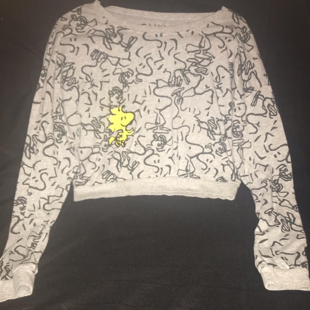 Peanuts Charlie Brown long sleeve shirt